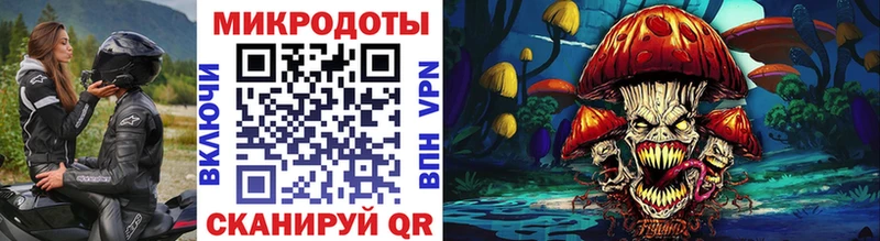 Псилоцибиновые грибы Cubensis Пестово